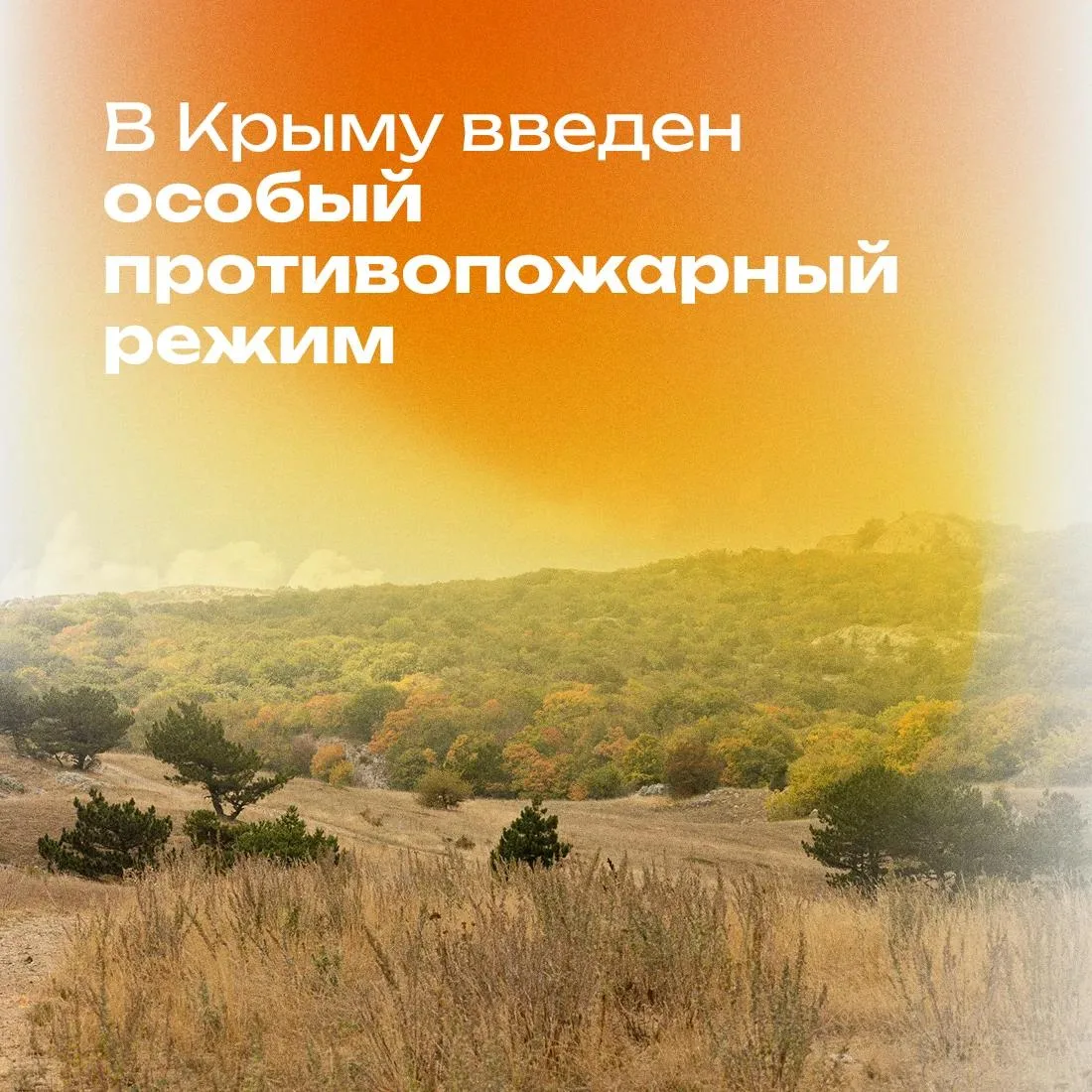 В Крыму с 24 июня введён особый противопожарный режим