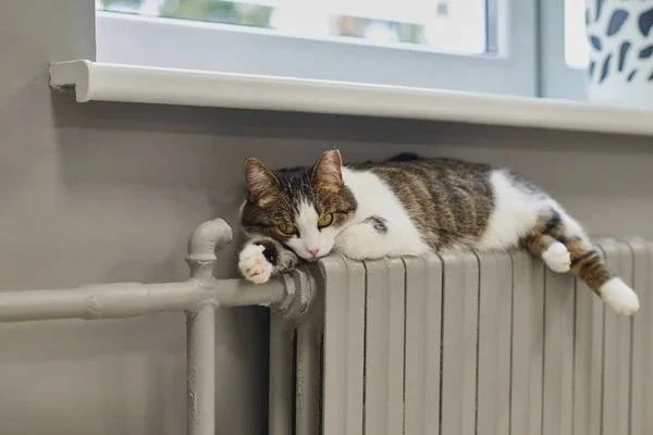 🔥 Жителям Кузбасса дадут отопление ориентировочно 15 сентября
