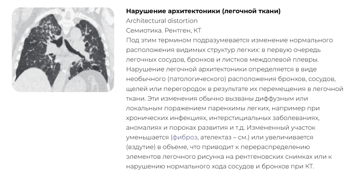 Вы только посмотрите, что мы для вас подготовили!😱