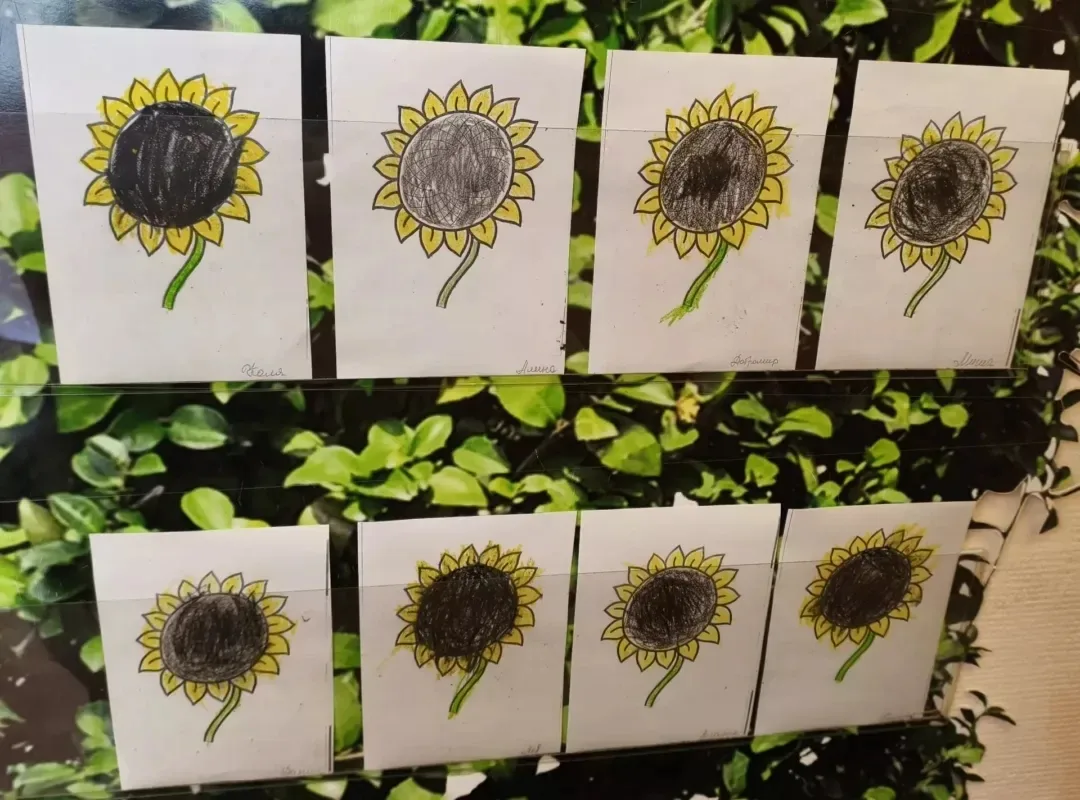 🌻С подсолнухом связано очень много интересных фактов, вот некоторые из них: