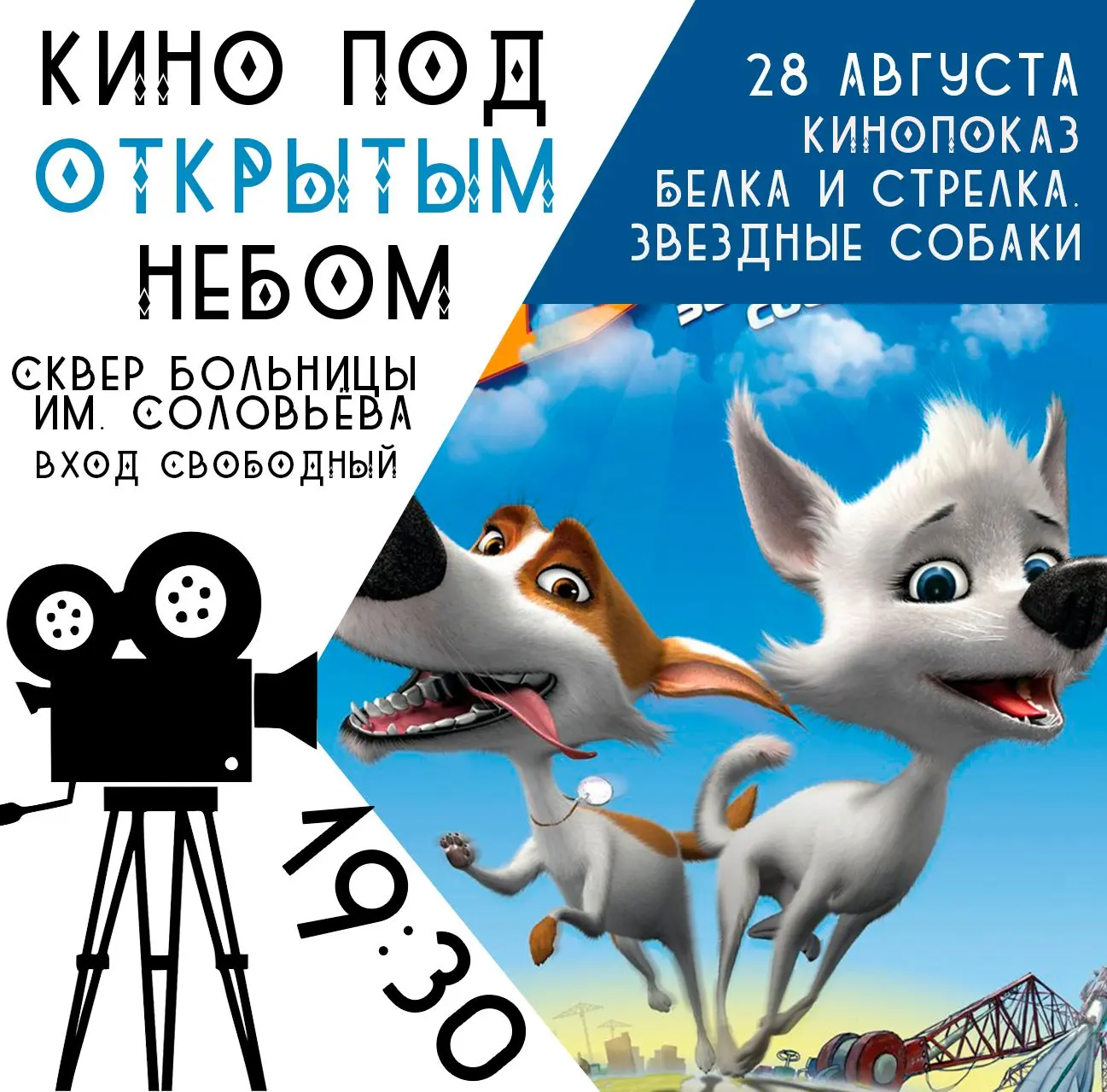 Последняя неделя лета — время для кино под открытым небом! 🌅