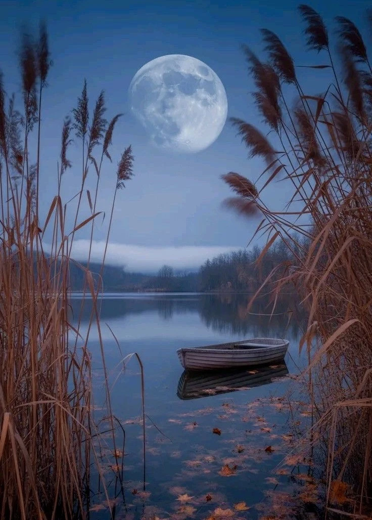 Для тех, кто не спит…🍁🕯️🍁