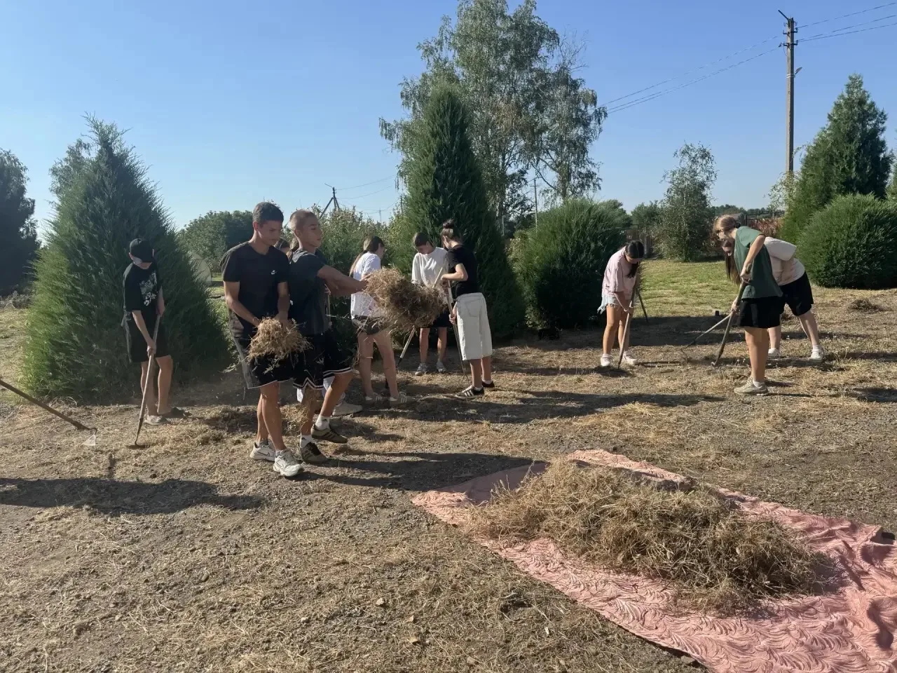 ☀️ Летняя практика в МБОУ СОШ8 ст.Новорождественская проходит плодотворно! Хорошая пого...