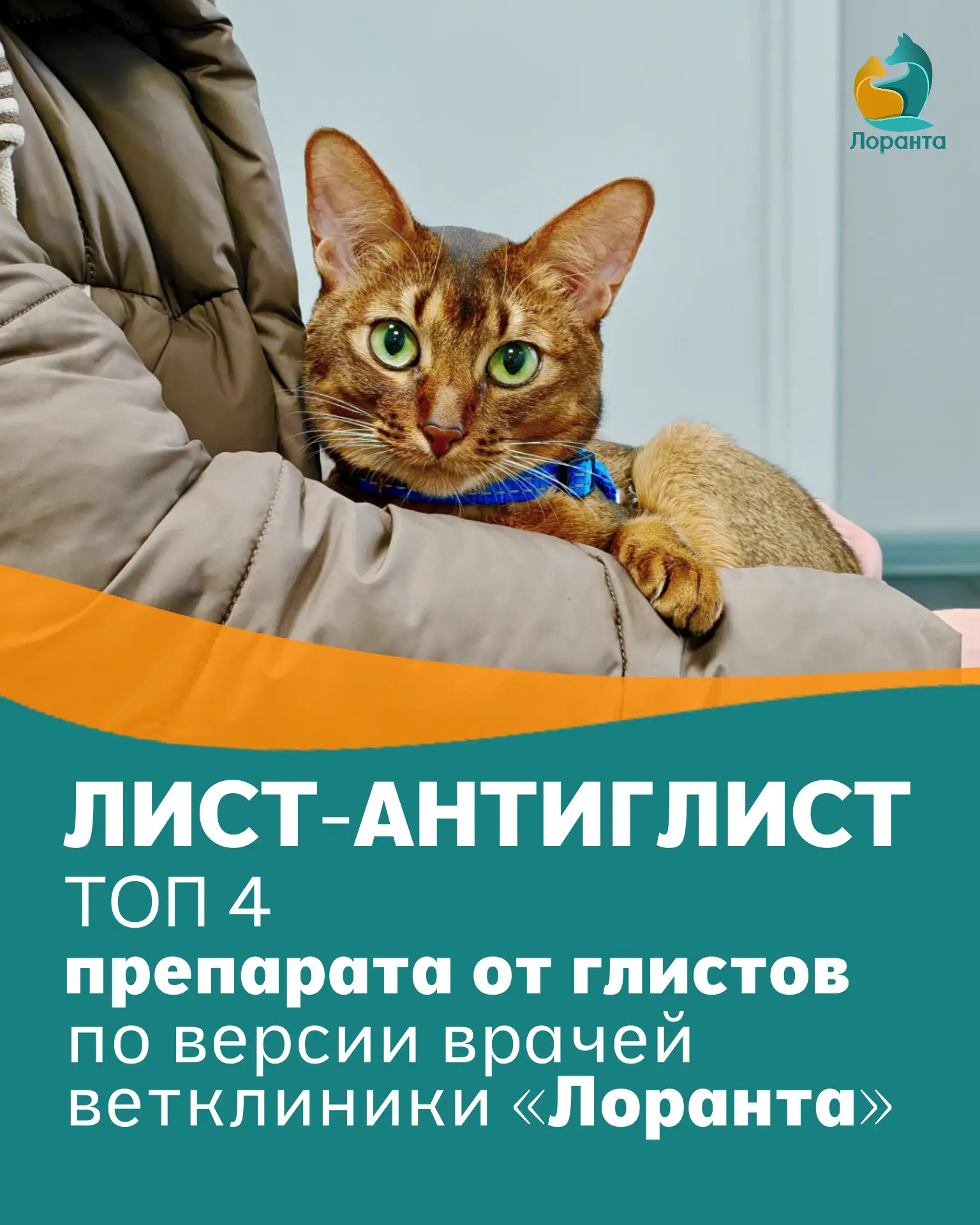 🤔 Настали тёплые деньки, дачный сезон открыт! Вот бы ещё такую «СуперТаблетку» найти, ...