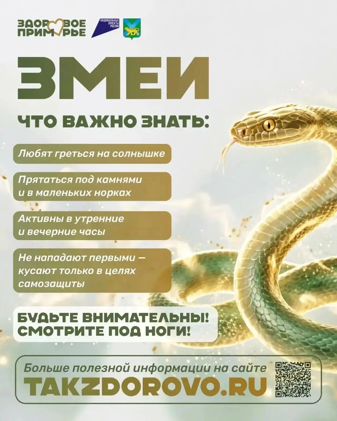 Активный отдых продолжается 🌿