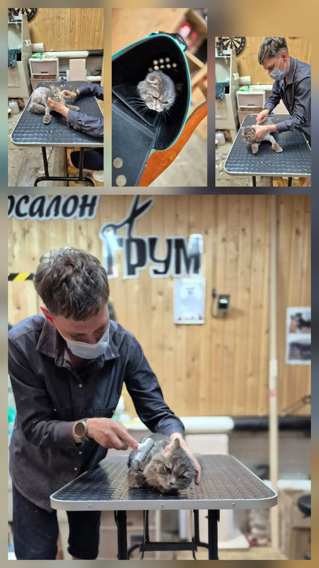 Знакомьтесь — Буржуй и его первая стрижка! Папа переживал и волновался за своего любимц...