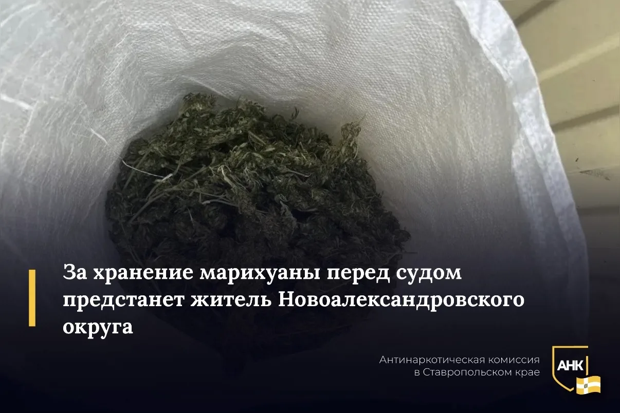 50-летний житель Новоалександровского округа, прогнозируя долгую зиму, решил запастись впрок «дурман