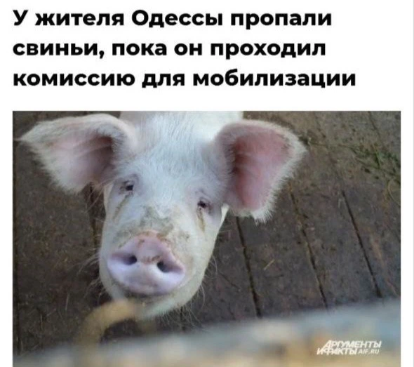 И унитаз