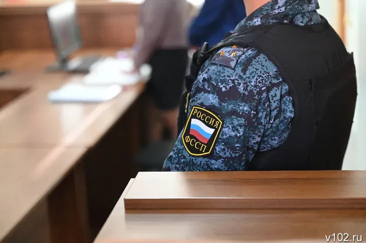 Житель Жирновского района, задолжавший своей дочери более 900 тысяч рублей алиментов, п...