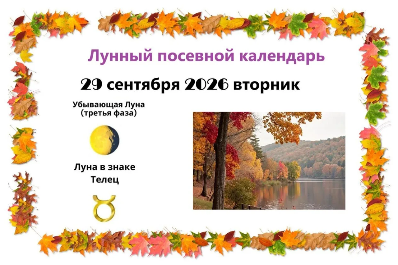 2️⃣9️⃣ сентября, вторник