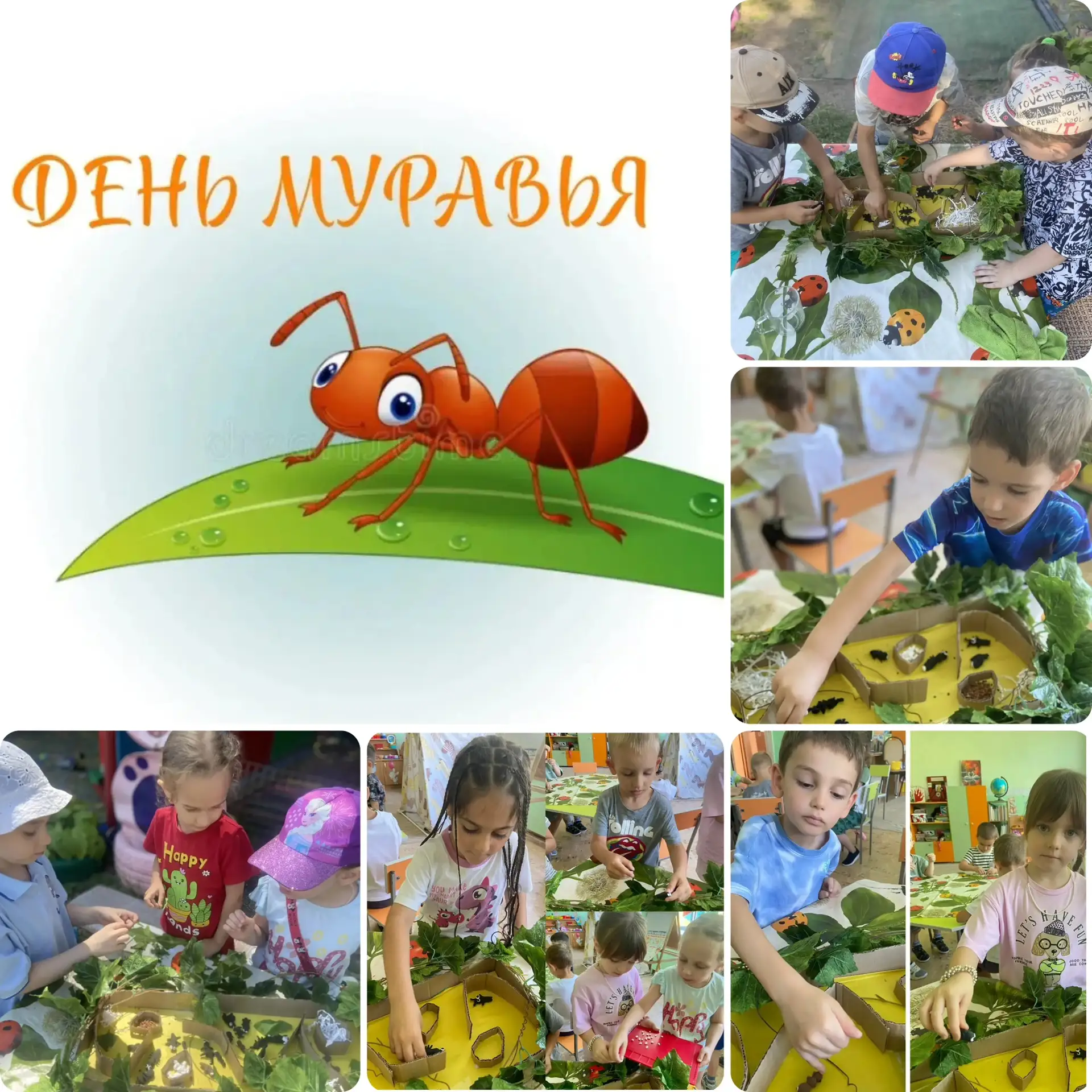 В старшей группе прошёл тематический день - День Муравья 🐜посвящённый знакомству с уди...