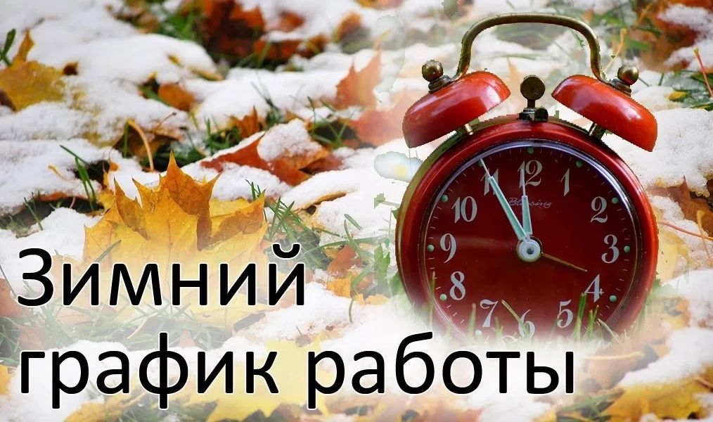 Библиотеки переходят на зимний график работы