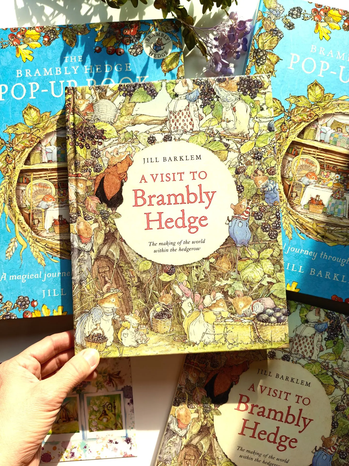 Обязательное приобретение для поклонников «Brambly Hedge»! Погрузитесь в волшебный мир ...