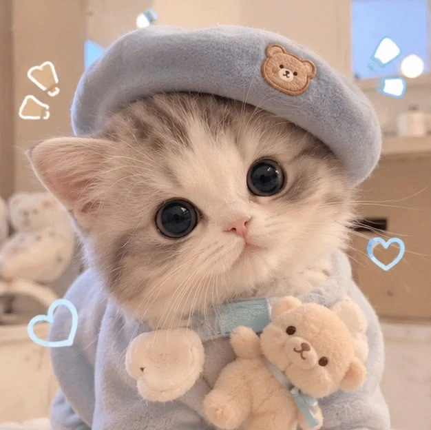 Обои с милыми котиками 🥰

такие милые, я не могу ✨

нравится такие?
даа очень - ❤️
не может не нрав