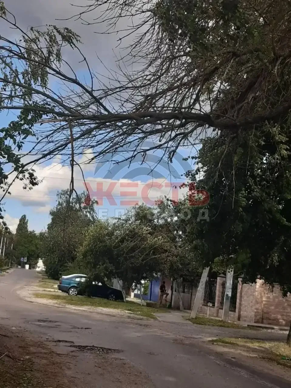 ❗️На улице Репина, 4 сухая ветка нависла прямо над дорогой