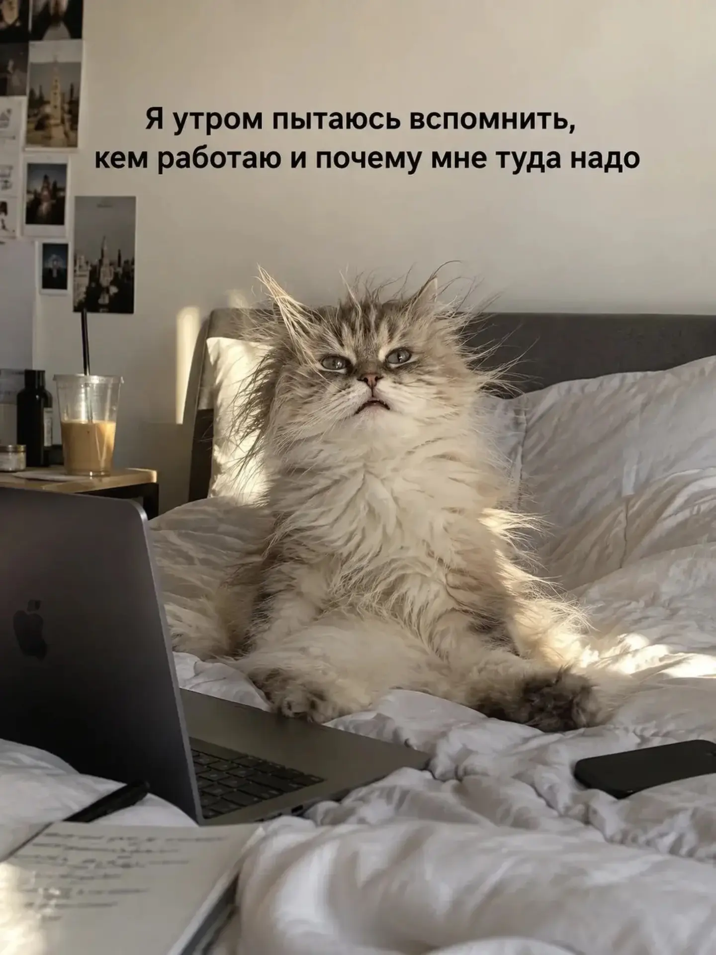 ЯНТАРНОЕ ДОБРОЕ УТРО
