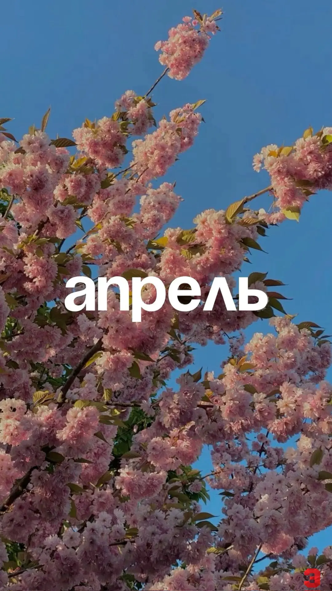 На старт. Внимание. Апрель. 🤩  Ставь на заставку телефона наши новые обои! ❤️