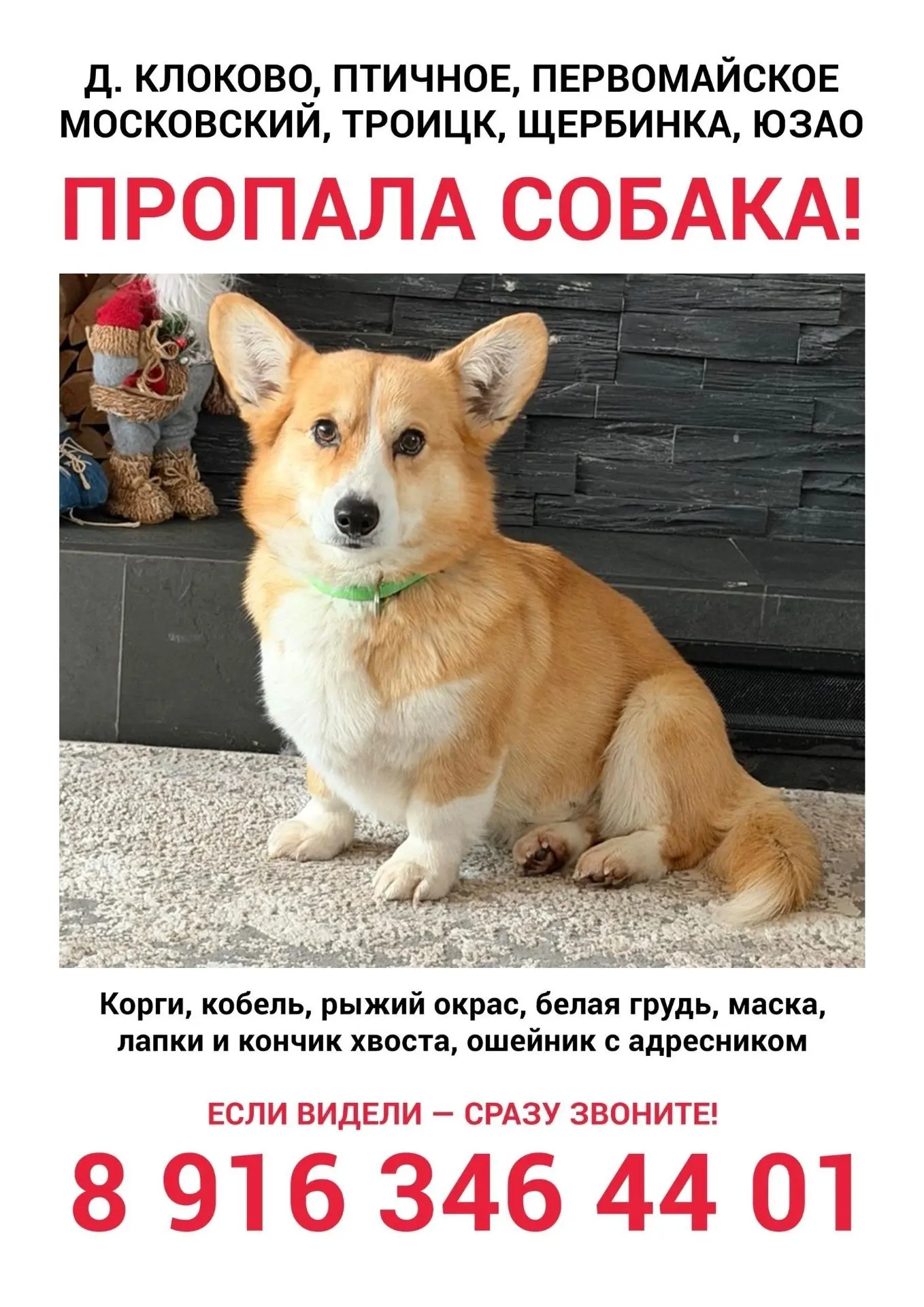 ПРОПАЛА СОБАКА