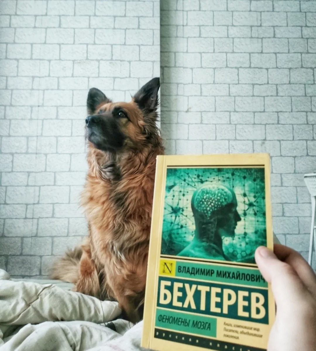 💬Почитаем?