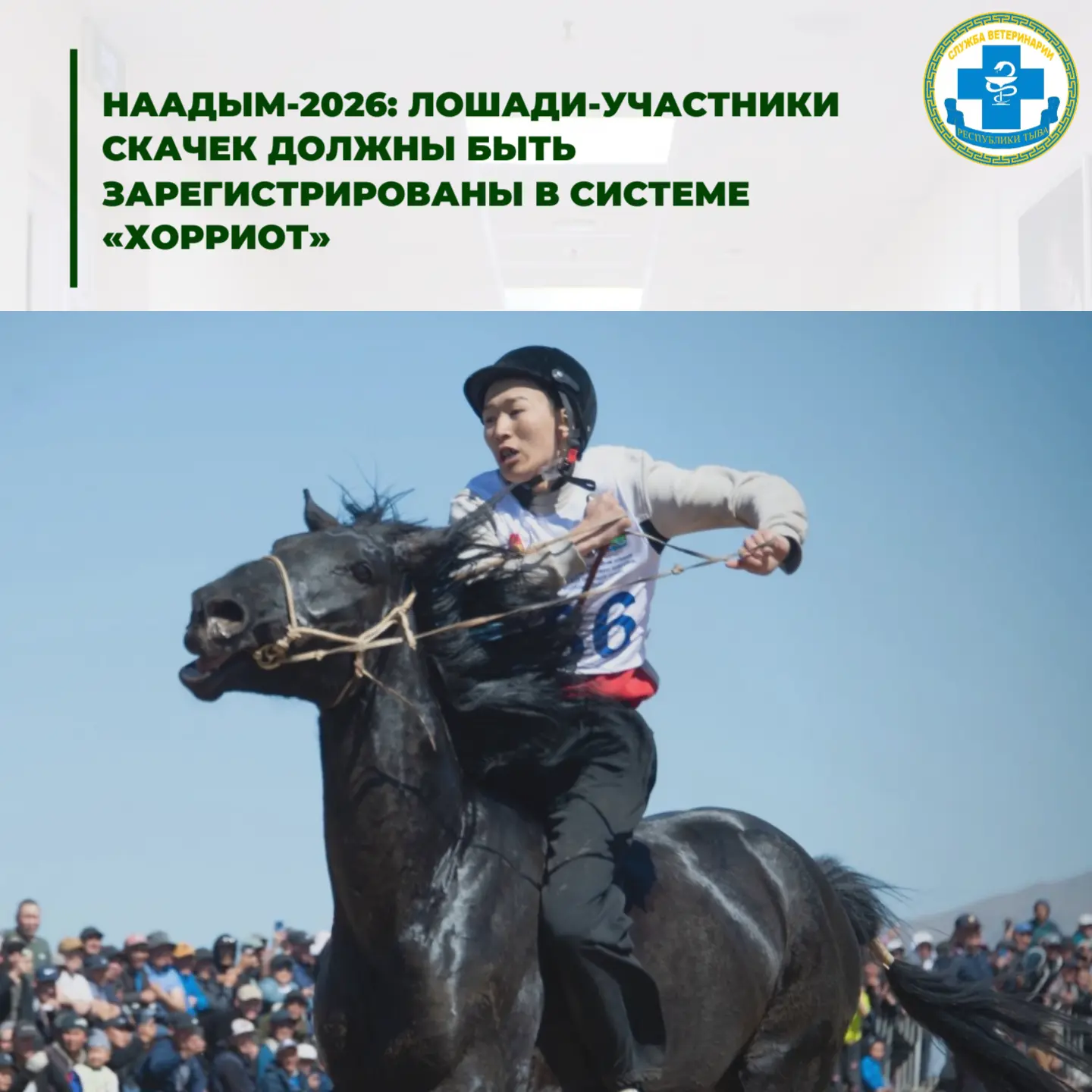 🐴Наадым-2026: лошади-участники скачек должны быть зарегистрированы в системе «Хорриот»

На заседани
