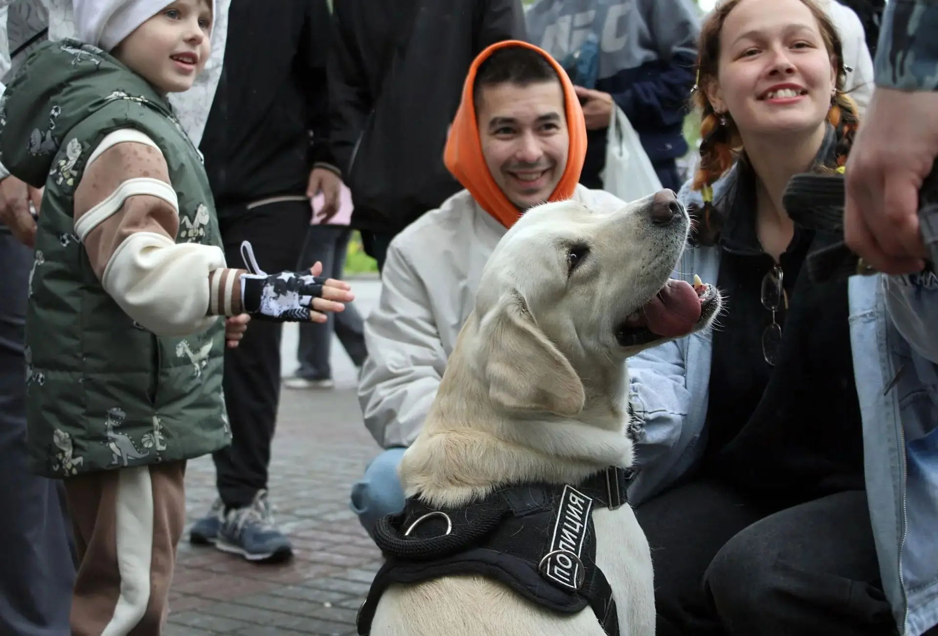 21 июня: День кинологической службы России 🐾
