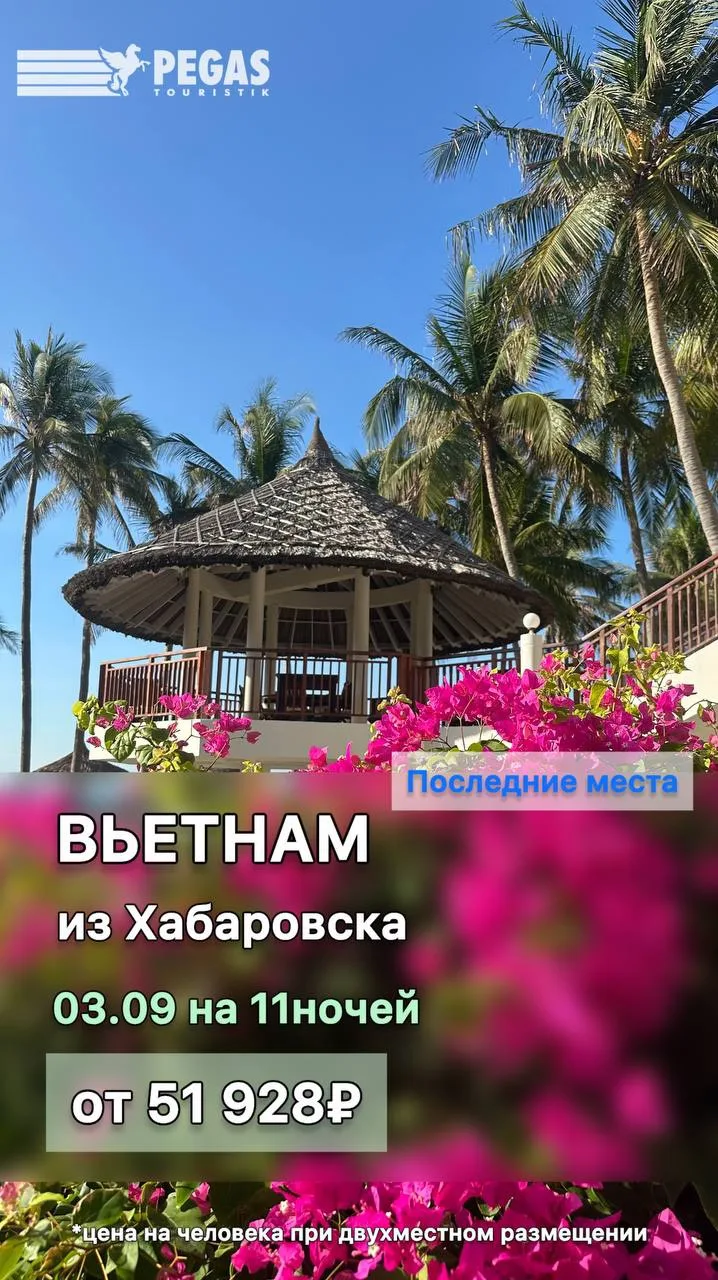 Лето кончилось? 🥥🦩🕶