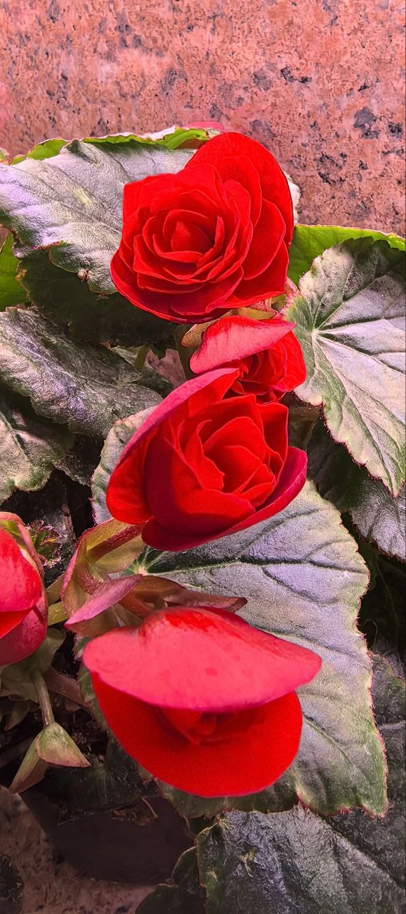 Доброе утро! Мы в ожидании длинных выходных. 🌺  Как у вас дела? Как погода?