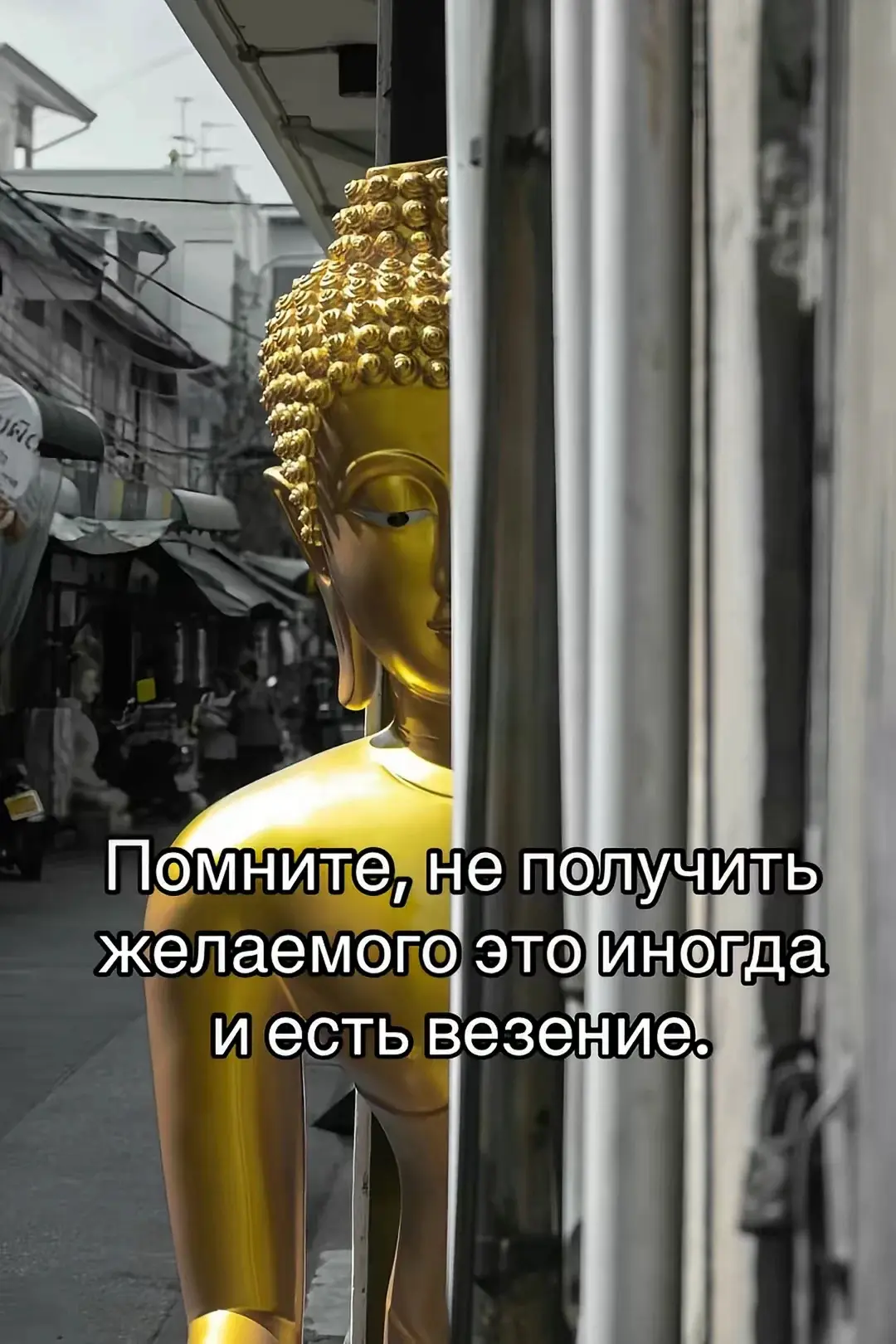 Мудрость | Психология | Цитаты | Пинтерест