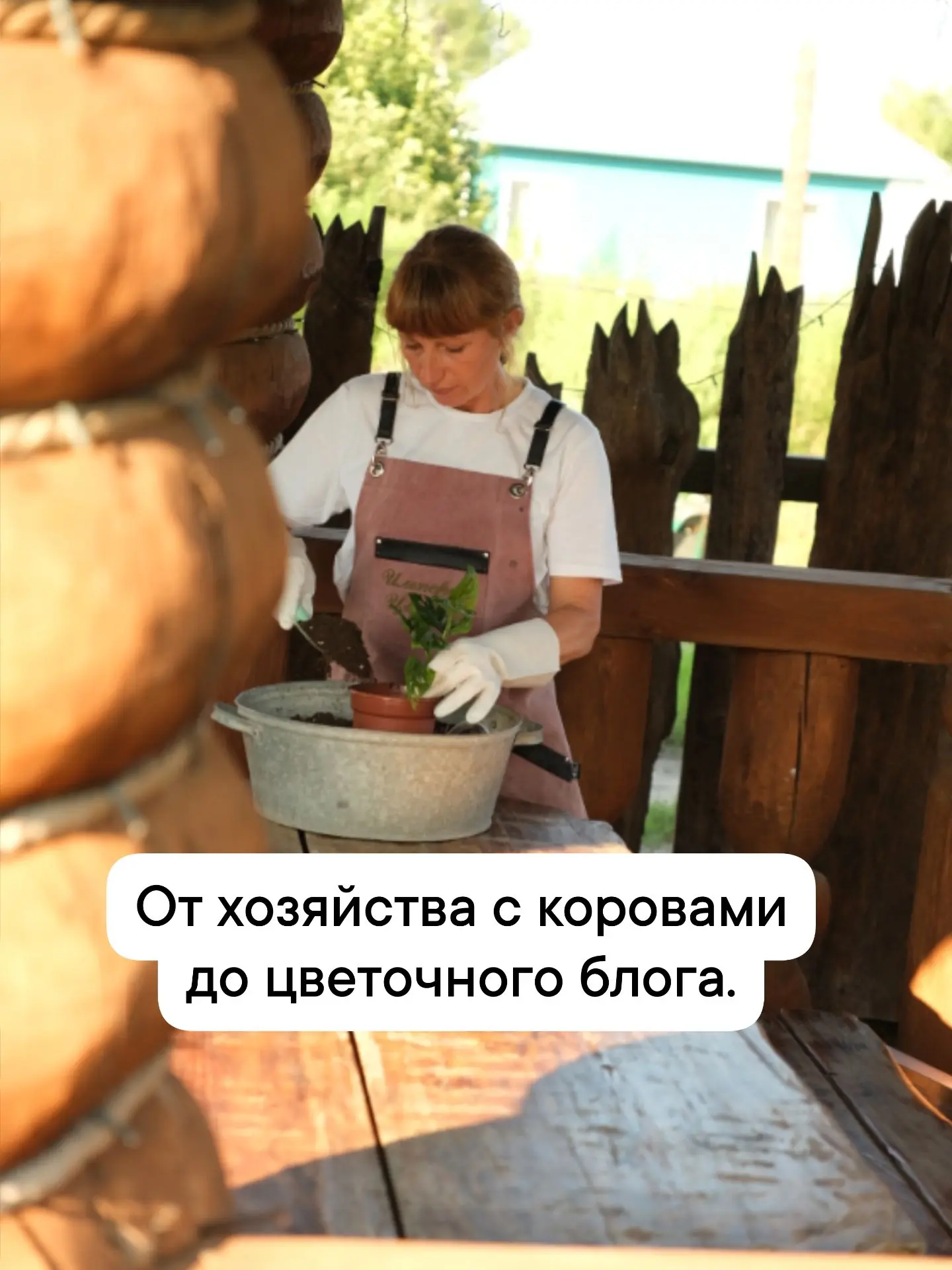 От хозяйства с коровами до цветочного блога:мой путь длиною в жизнь.