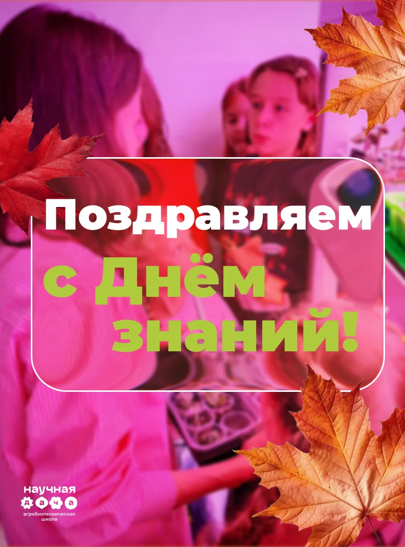 С Днём знаний!🔔