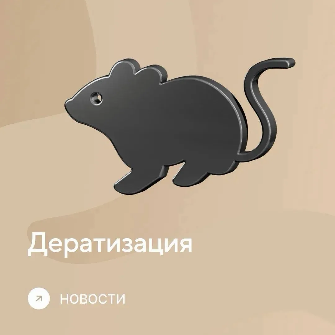 Санитарная обработка в ЖК «Самолёт 6» 🐭