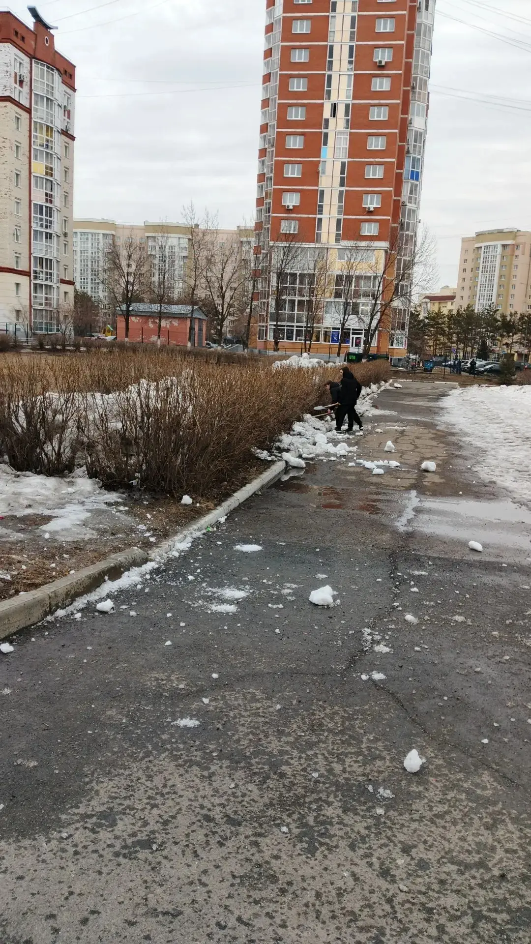 💯Заботясь о чистоте своего дома, двора, улицы, мы заботимся о самом главном — своём здоровье и здоро