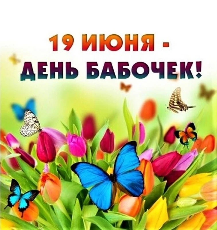 🦋 19 июня — День бабочек! 
🦋 Наши воспитанники в этот день погрузились в удивительный мир этих пре