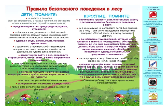 С наступлением тёплых деньков тема выездов на природу становится как никогда актуальной. Лес манит с
