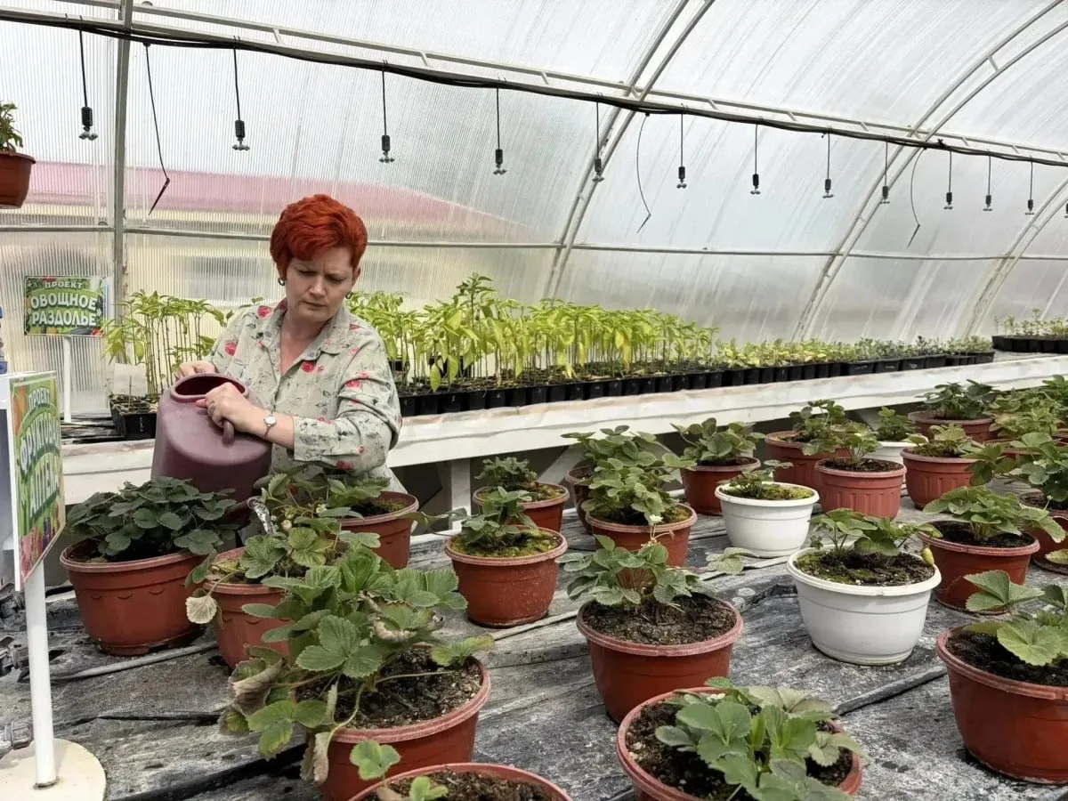 Учитель из Прокопьевского округа представит Кузбасс на конкурсе «Женщины в АПК».