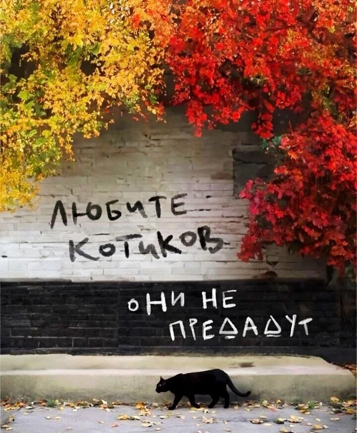 Добрый Мурзик 😻