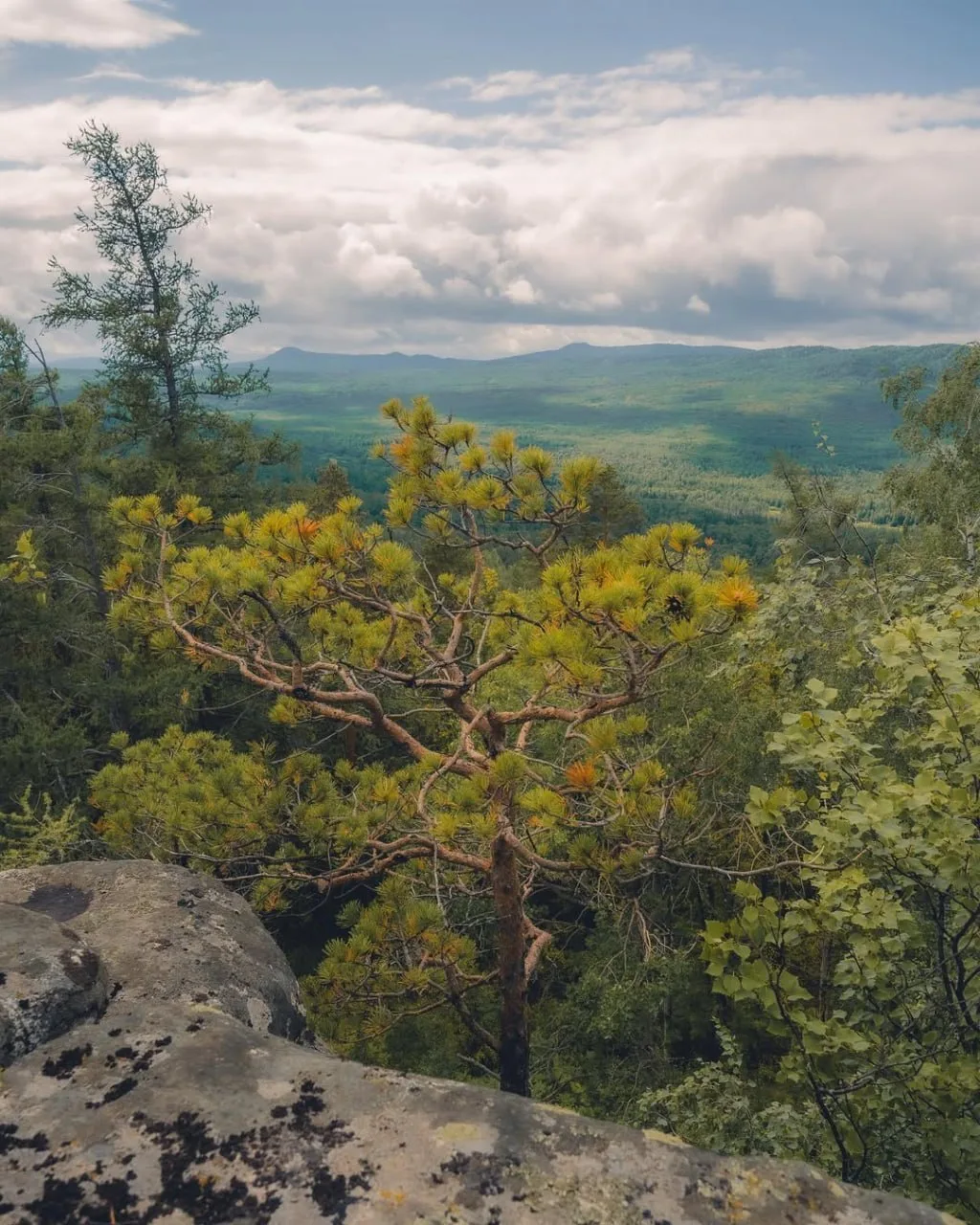 🏔  Заозерный хребет, городской округ Миасс
#ЧелябинскаяОбласть

📌 Через гребень хребта проходит ту