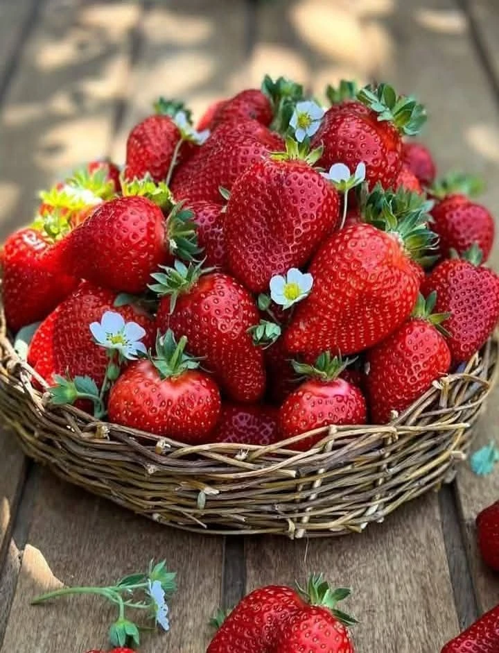 😊☀С добрым утром пятницы, солнечным и ясным!