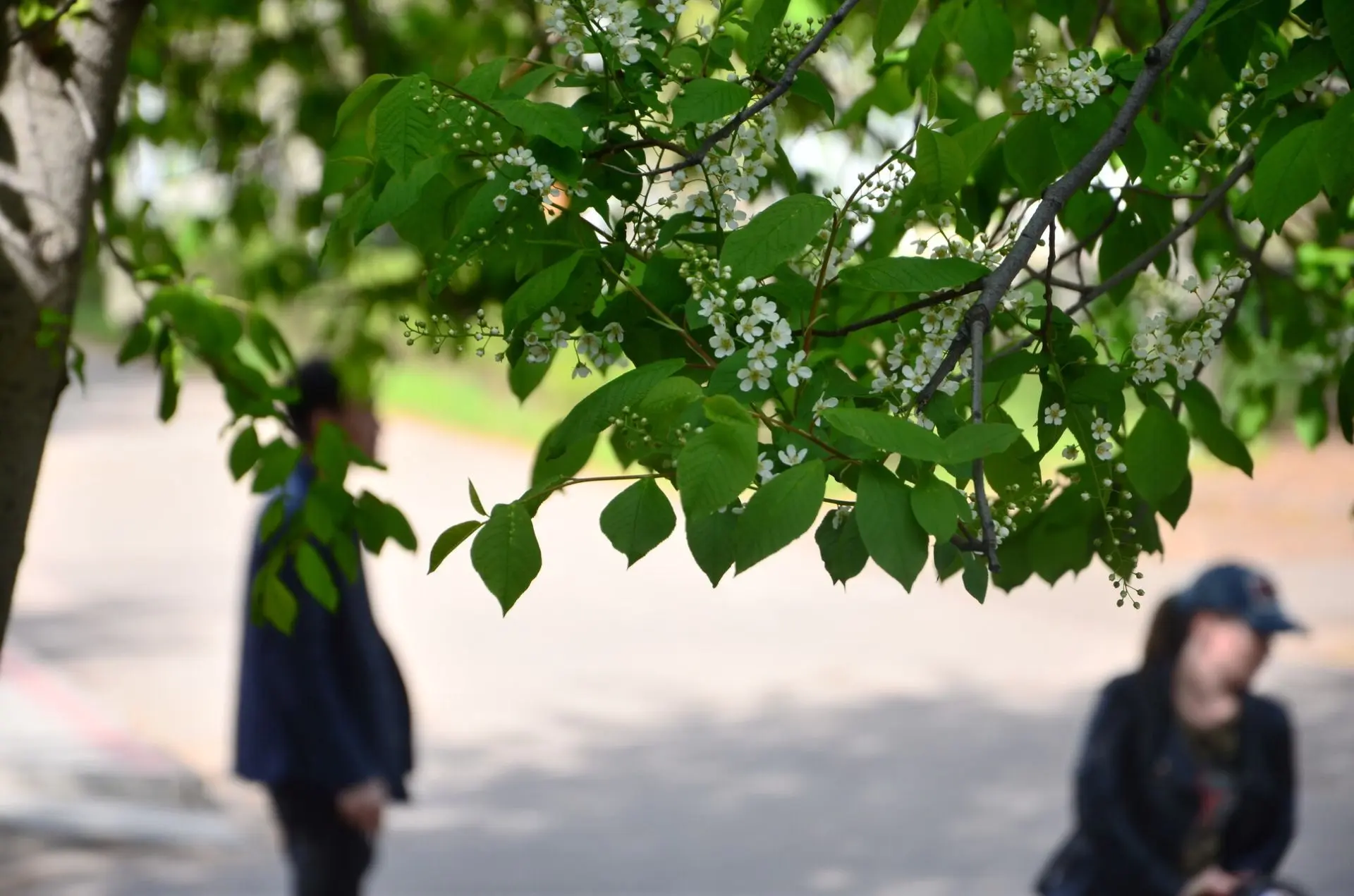 ☀️В Набережных Челнах сохранится теплая погода