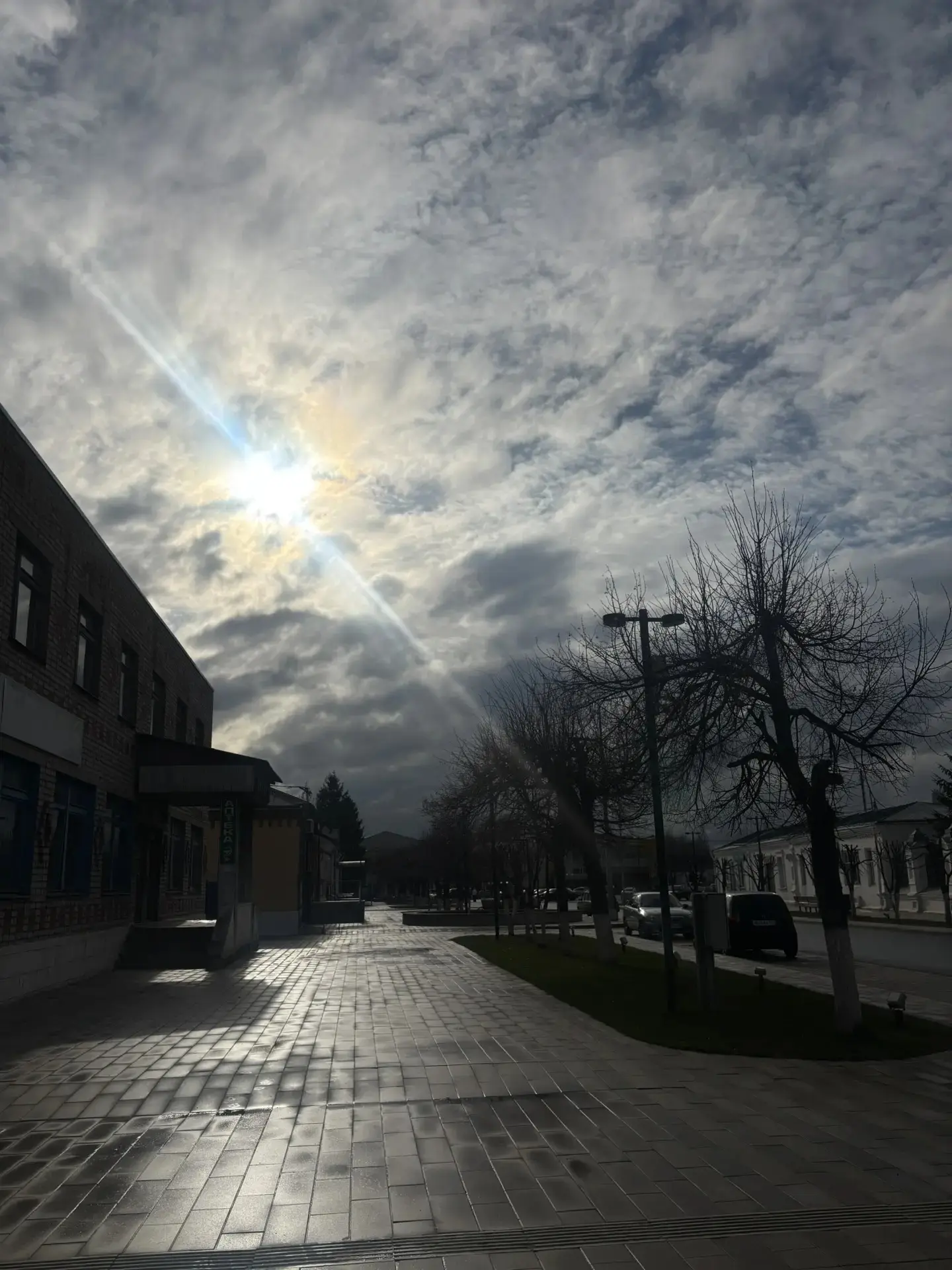 🌱 Весна робко вошла в город, наполнив воздух ароматом пробуждающейся природы  Источник: https://vk.r