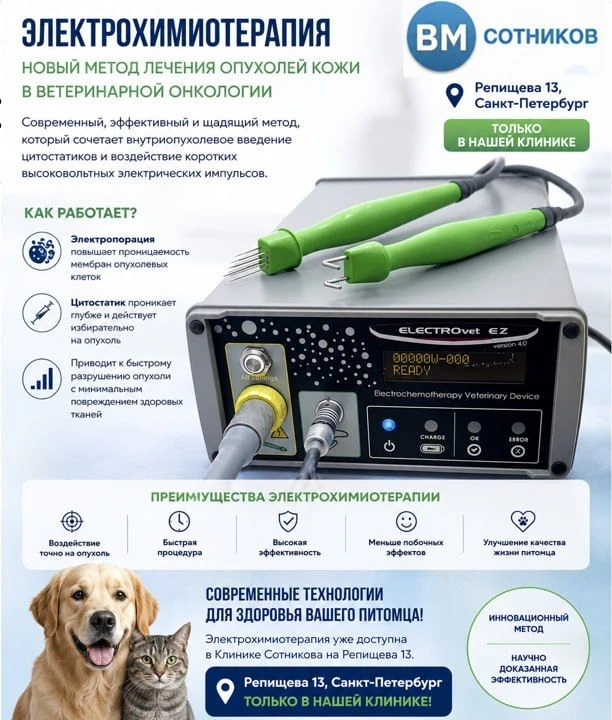 В нашей клинике - новый аппарат для электрохимиотеропии⚡️