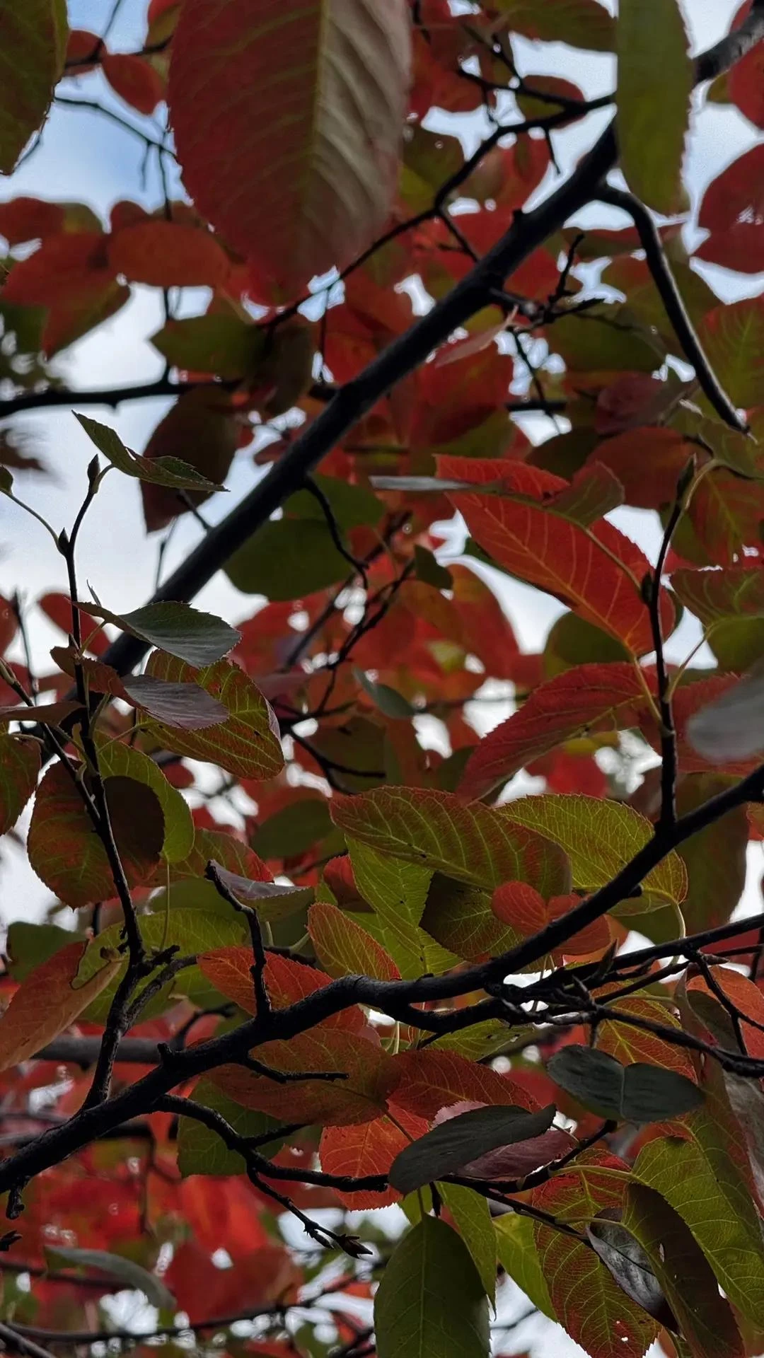 🍂 Кадр дня