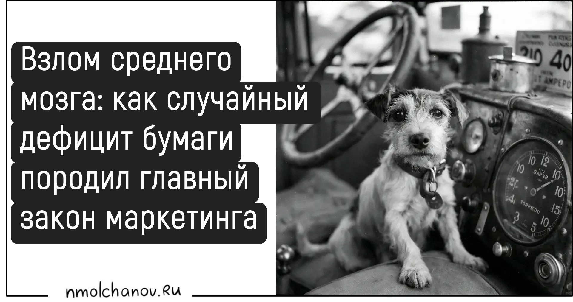 Помните, на торпеду автомобиля клеили собачек с качающимися головами? Которые качались-...