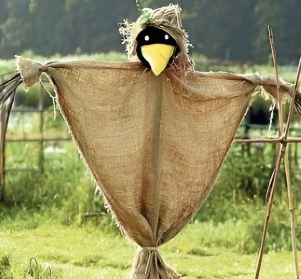 Хозяин дачи и гроза пернатых вредителей 🦅