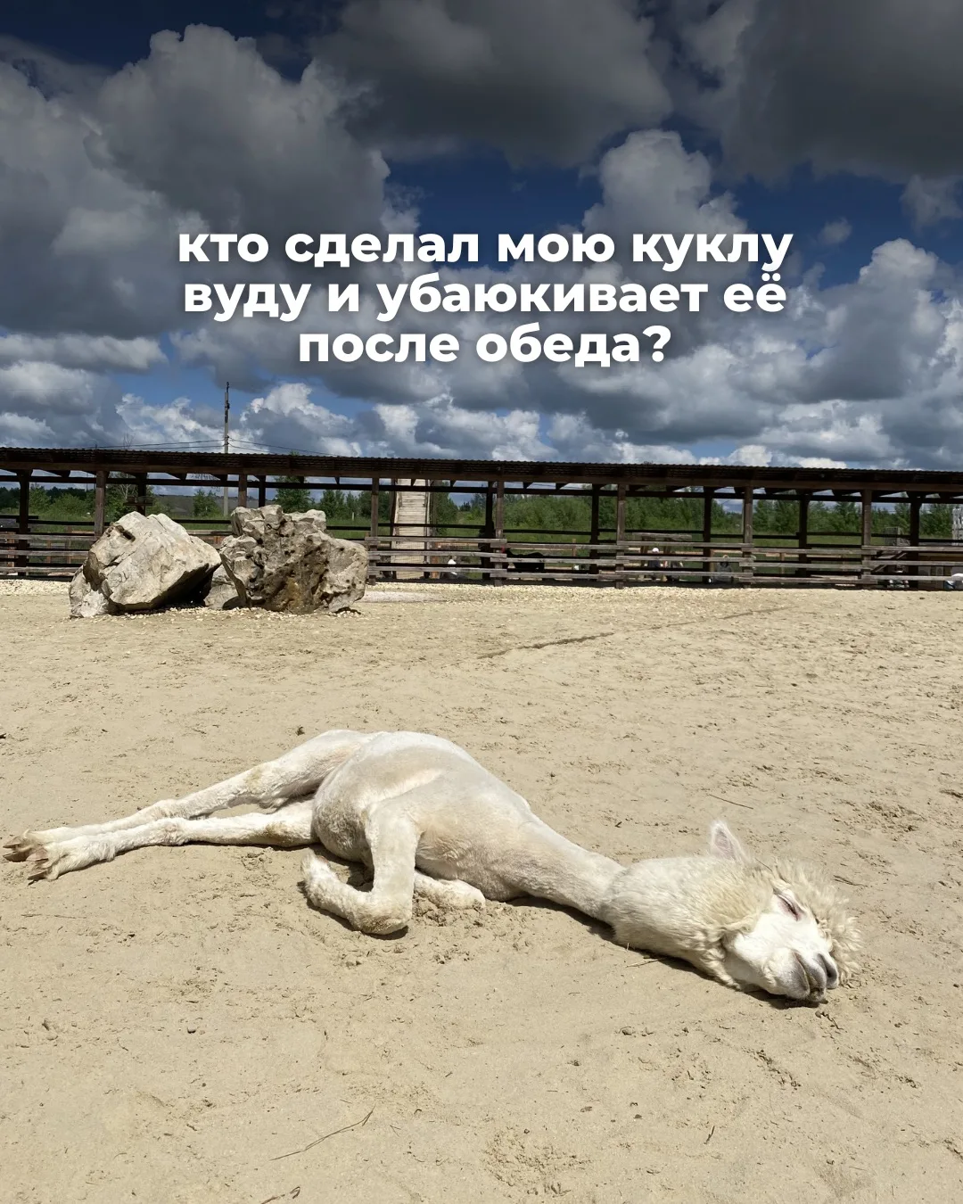 Магия какая-то 😴