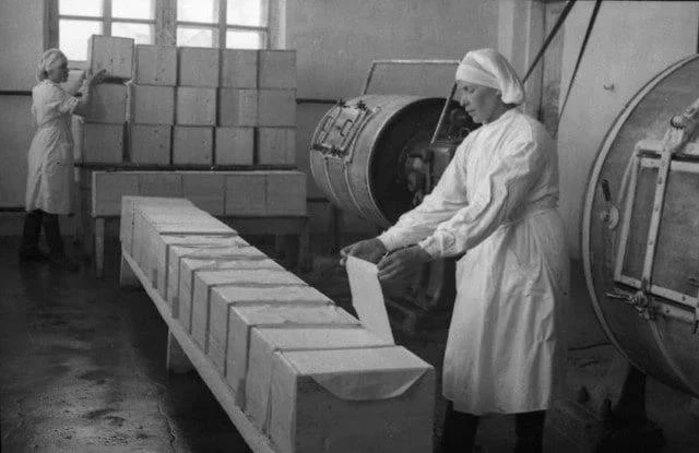 Упаковка Вологодского масла, Абакановский маслозавод, Череповецкий район, 1950 год