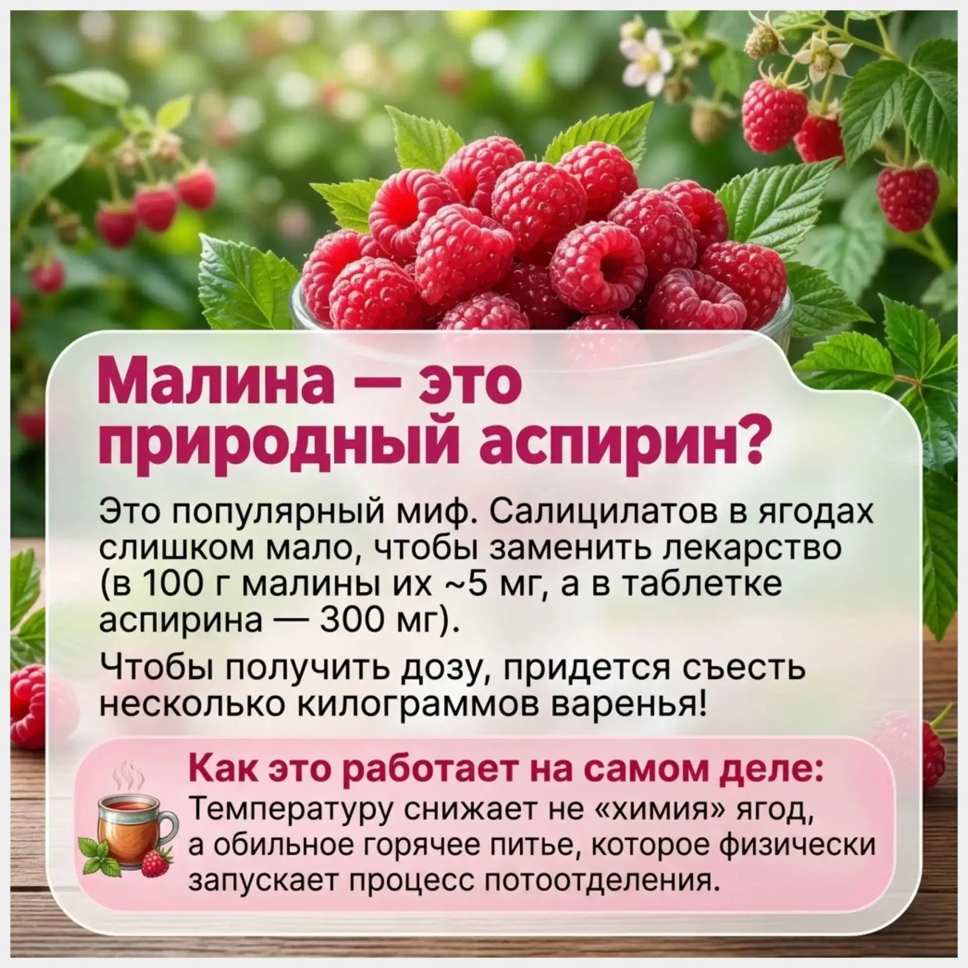 🫙 Сегодня отмечается День малинового варенья!