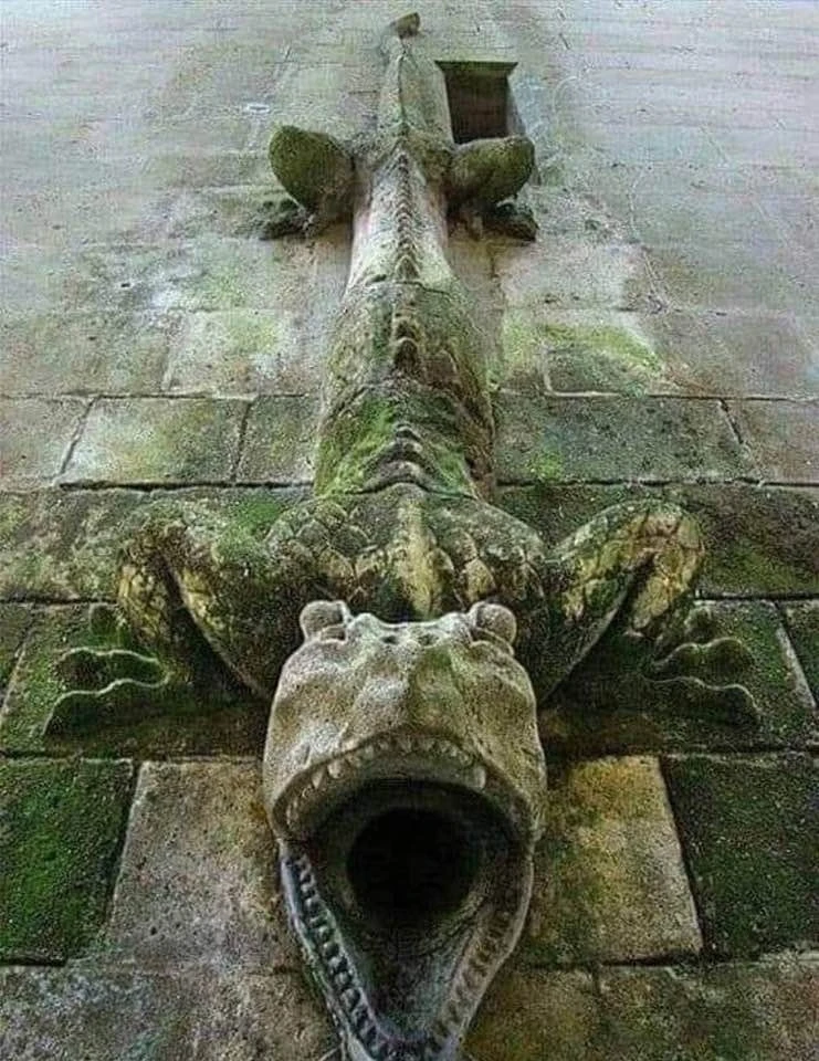 Водосточная труба в замке Шато - де - Пьерфон. 12 в. Франция.