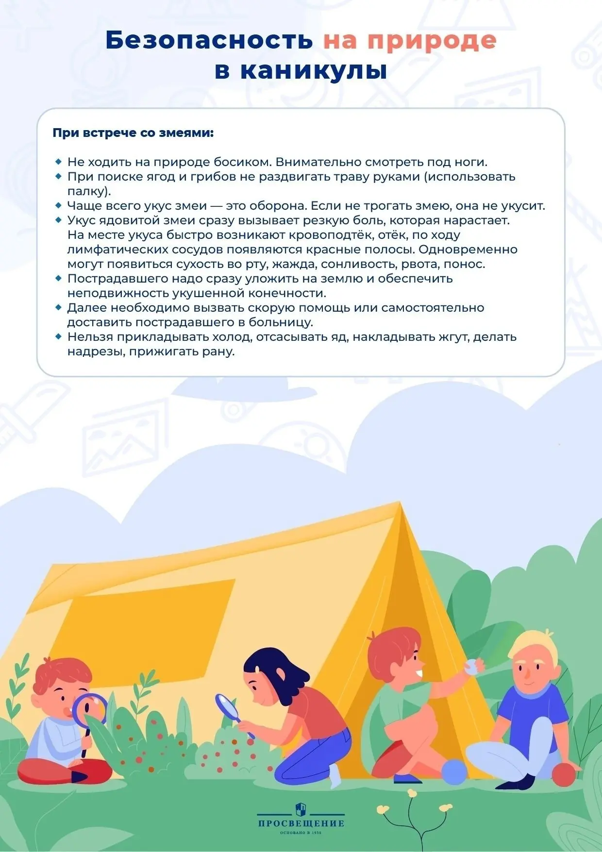 Доброе утро, Лицей!                                                                                 