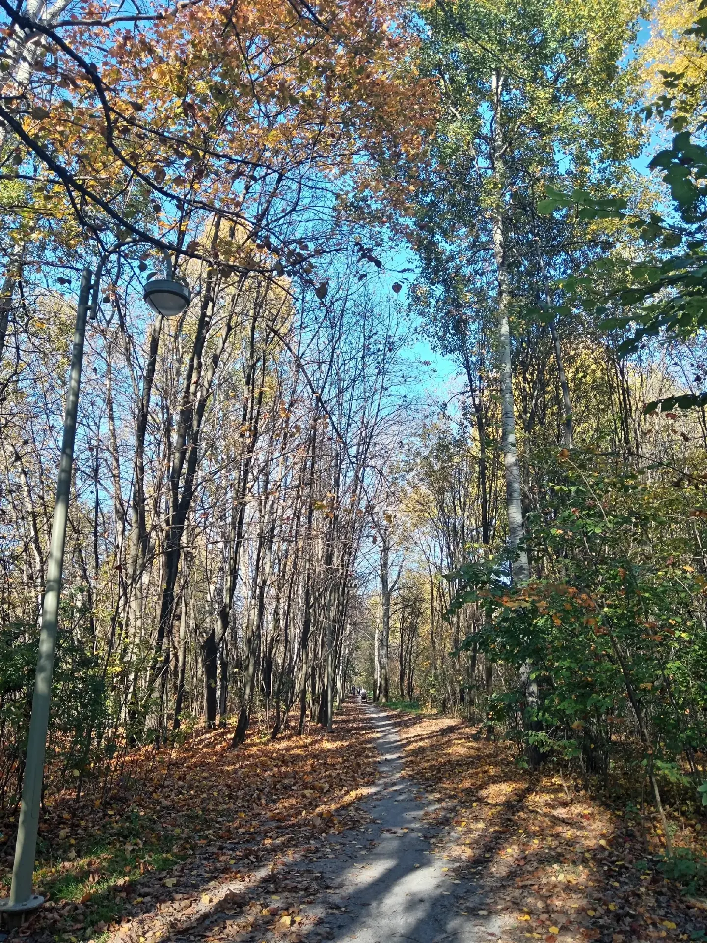 🍂 Провожаем сентябрь в Серебрянском парке